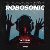 Robosonic artwork