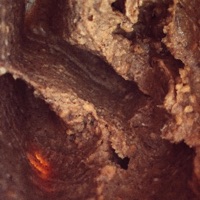 Peanut Butter - Single - Fona & Styn