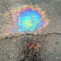 Begin - Single - Boy Jugo