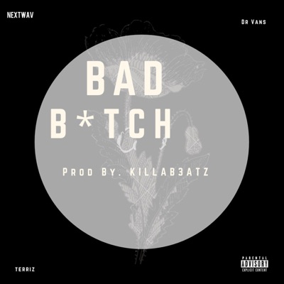 Bad Bitch (feat. Terriz) - Single