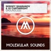 Sergey Shabanov & Jo Cartwright - Groundless (Extended Mix)