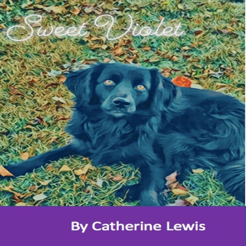 Sweet Violet (Unabridged) cover