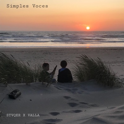 Simples Voces (feat. Valla) - Single