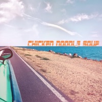 Chicken Noodle Soup - Single - Rinse Cycle