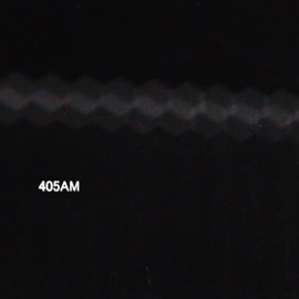405Am Hider