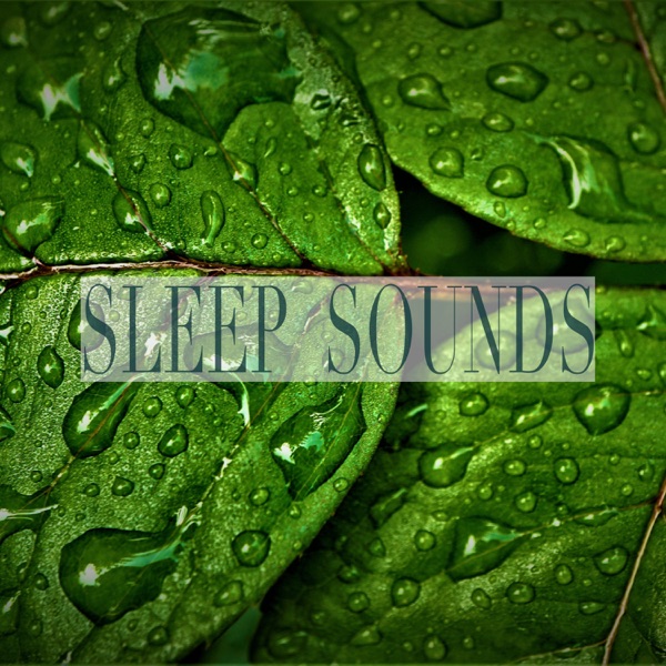 Sleep Sounds