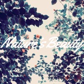Nature's Beauty artwork