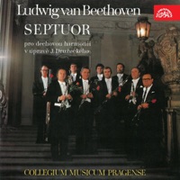 Beethoven: Septuor - Frantisek Vajnar & Collegium Musicum Pragense