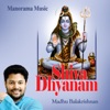 Shiva Dhyanam