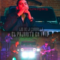 El Pajarito - Single - Los de la Cuadrilla