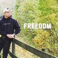 Freedom - Single - David Bernsteiner