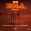 Hola (Remix) [feat. Juhn & Dímelo Flow] - Single