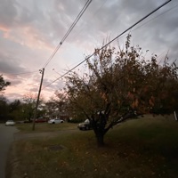 Away - Single - Luh ReD