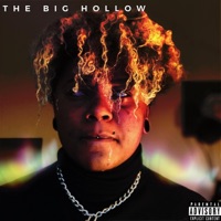 The Big Hollow - Single - AJ Sagar