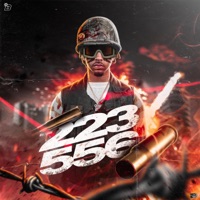 223 556 (Radio Edit) - Single - Banbwoi