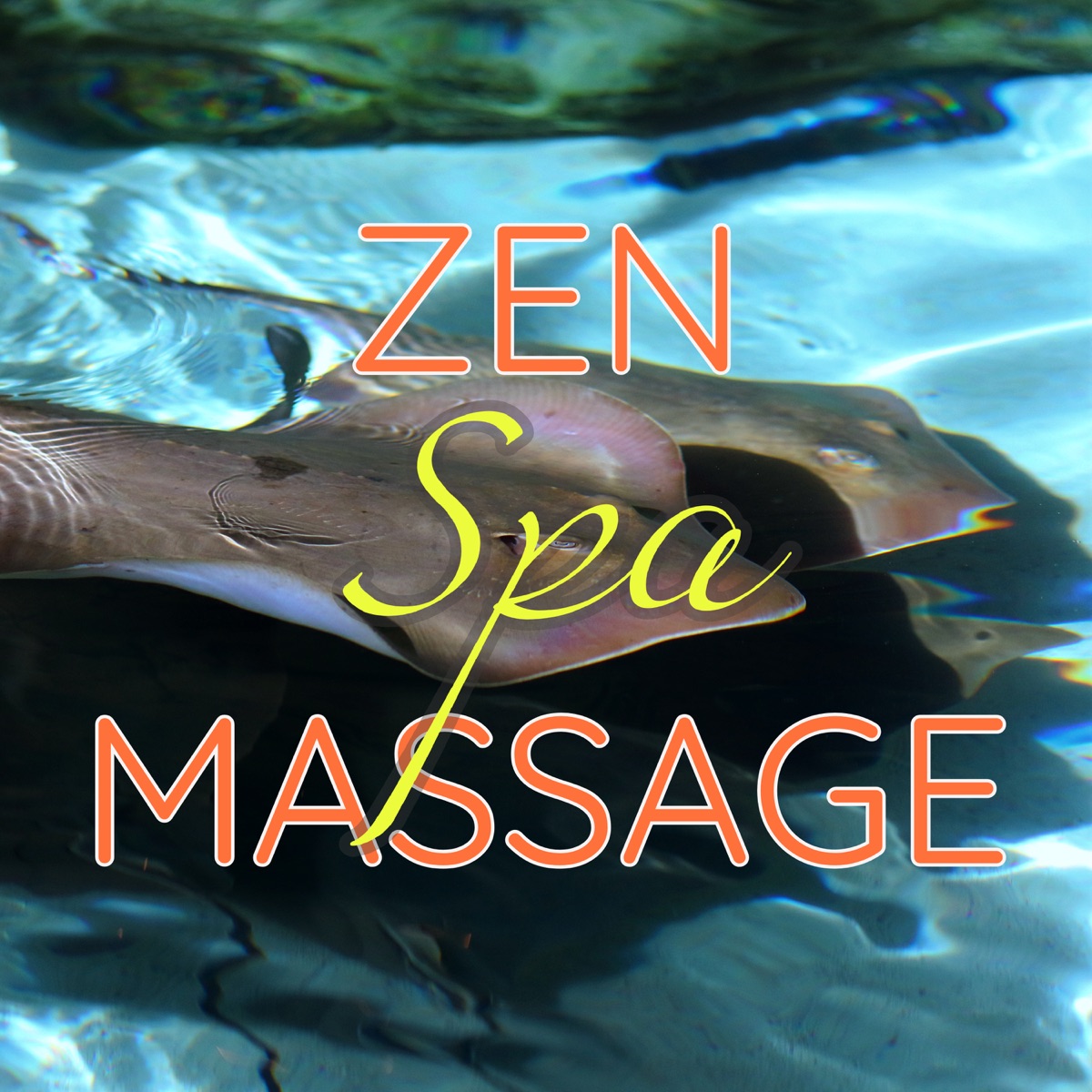 Musique Zen Spa – Chansons Relaxante Massage pour votre Détente et  Bien-être, Musique Asiatique pour Méditer, Meditation & Relaxing Music &  Musique Ambiance Détente - Qobuz