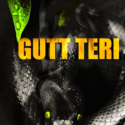 Gutt Teri (feat. Vsinghs, Pavvan & Keetview$) - Single
