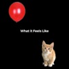 What It Feels Like - Single