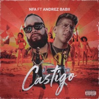 Castigo (feat. Andrez Babii) - Single - NFA