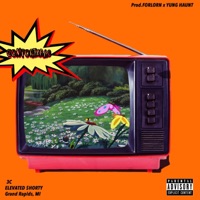 Comfortable (feat. 3C) - Single - Elevated $horty