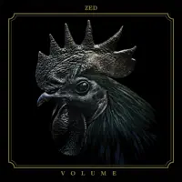 Chingus — ZED