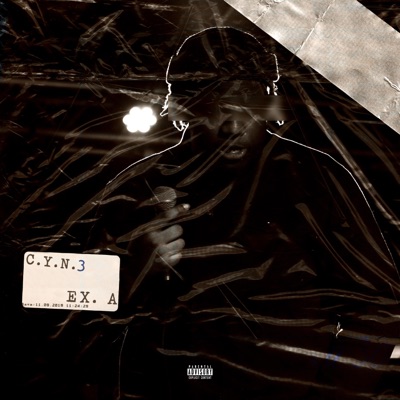 LOOSE 3NDS - Single