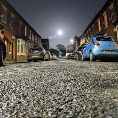 Following Foxes - Single