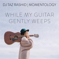 While My Guitar Gently Weeps - Single - DJ Taz Rashid & Momentology