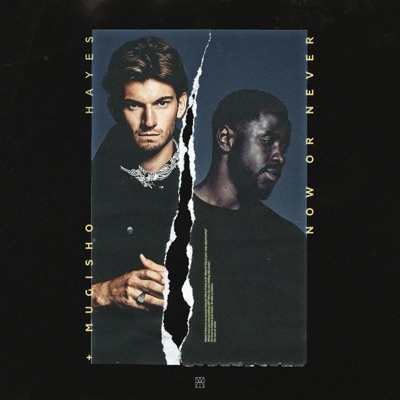 Now Or Never - Single