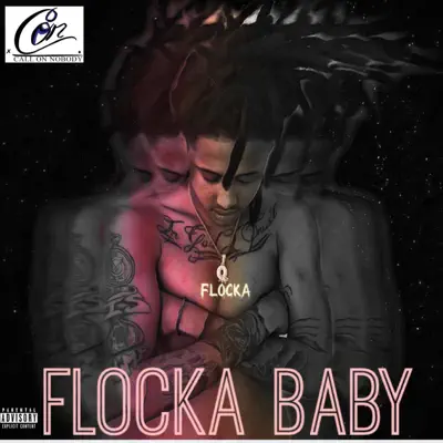 Listen to Flocka Baby by QFlocka