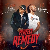 Perfect Remedy (feat. Peter Miles) - Single - Mc Norman