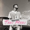Teri Meri - Single