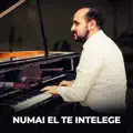 NUMAI EL TE INTELEGE