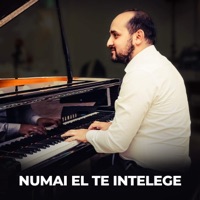 Biji Din Bărbulești - Numai El Te Intelege