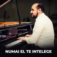 Numai El Te Intelege — Biji Din Bărbulești