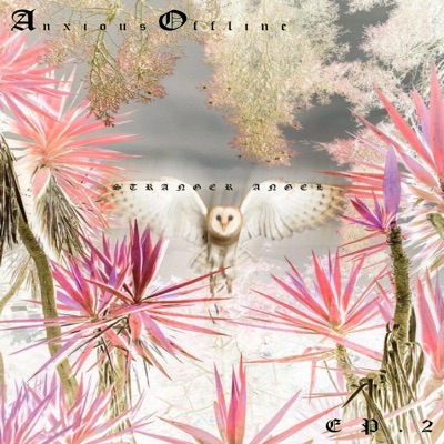 Stranger Angel - Single