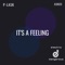 It's a Feeling - P-Lask lyrics