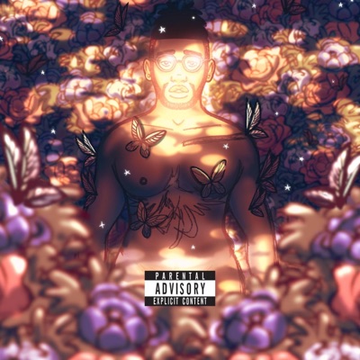 The Butterfly Effect - Single