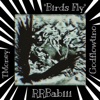 Birds Fly (feat. TMoneyWave & Rrbabiii) - Single