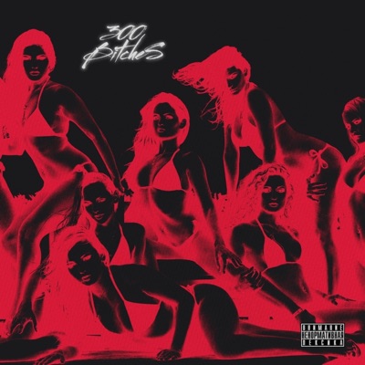 300 Bitches (feat. Lil bulldozer) - Single