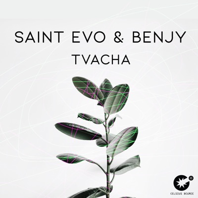 Tvacha - Single