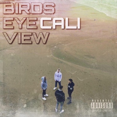 Birds Eye View