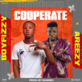 Cooperate (feat. Areezy) BoyFizzy