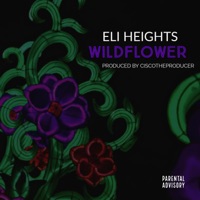 WildFlower - Single - Eli Heights