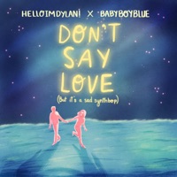 Don't Say Love (But It's a Sad Synth Bop) - Single - Helloimdylan & BABYBOYBLUE