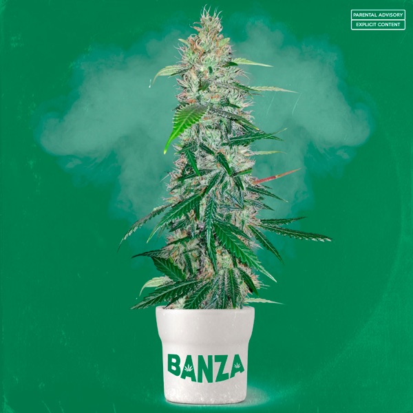 Banza