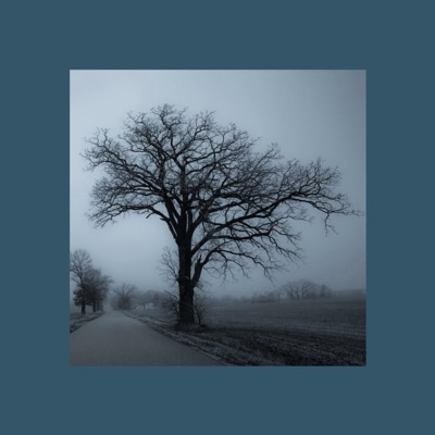 It's So Hard to Stay Strong - Single