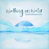 Stream & download Walking on Water - Single