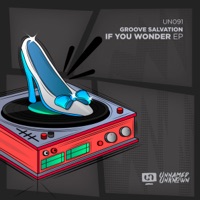 If You Wonder - Single - Groove Salvation