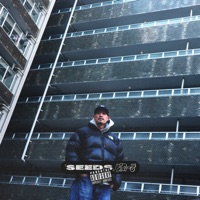 Seeds - BIG-8